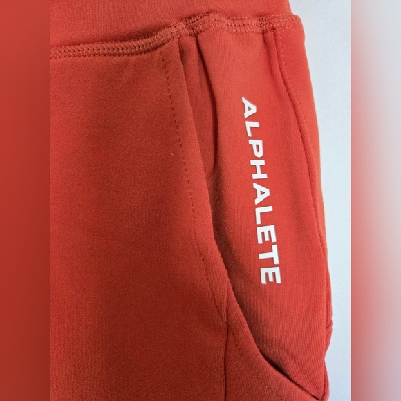 Alphalete Rust Joggers - Picture 4 of 7